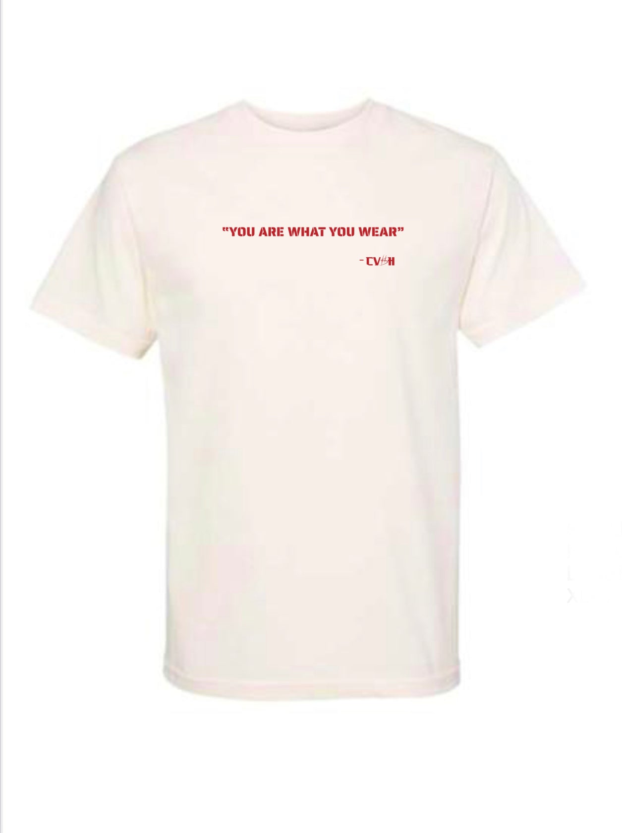 “You are what you Wear” Tee